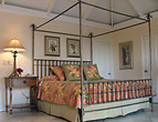 Ficus Suite