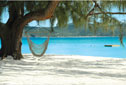 Hammock on Guana's main beach - Click to enlarge
