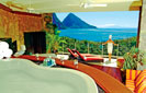 Jacuzzi Tub with View - Click to enlarge